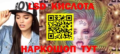 спайс Берёзовский