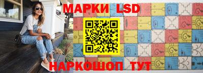 спайс Берёзовский