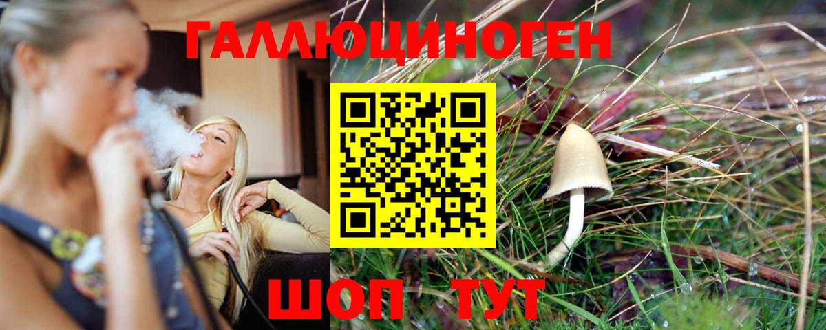 Клинцы  Галлюциногенные грибы прущие грибы  Вход с VPN  Галлюциногенные грибы мицелий 